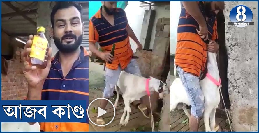 ছাগলীৰ সৈতে আজব কাণ্ড যুৱকৰ, ভিডিঅ’ ভাইৰেল হােৱাত ক্ষমা প্ৰাৰ্থনা… ছাগলীৰ সৈতে আজব কাণ্ড যুৱকৰ, ভিডিঅ’ ভাইৰেল হােৱাত ক্ষমা প্ৰাৰ্থনা…