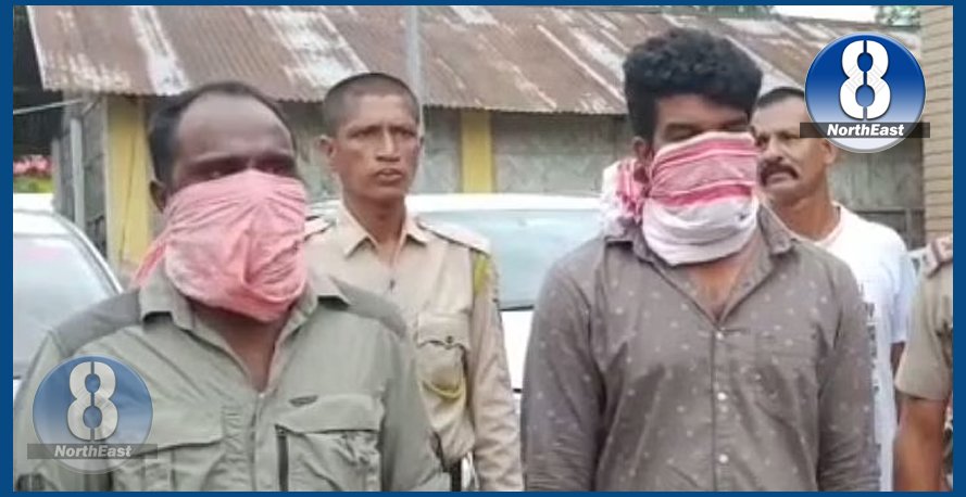 দুখনকৈ বিলাসী বাহনত উদ্ধাৰ দুষ্প্ৰাপ্য কেংগাৰু, চিম্পাঞ্জী, কাছ! দুজনক আটক দুখনকৈ বিলাসী বাহনত উদ্ধাৰ দুষ্প্ৰাপ্য কেংগাৰু, চিম্পাঞ্জী, কাছ! দুজনক আটক