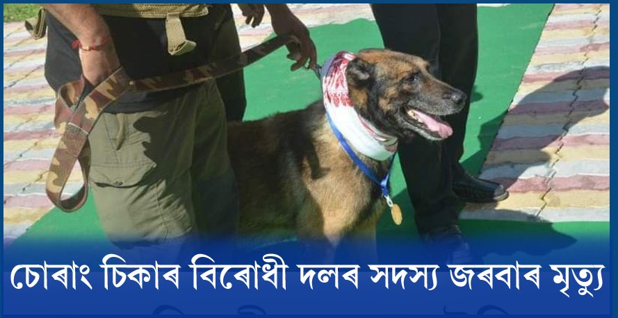 দুঃখবৰ! অসমৰ চোৰাং চিকাৰ বিৰোধী দলৰ অন্যতম সদস্য ‘জৰবা’ৰ মৃত্যু দুঃখবৰ! অসমৰ চোৰাং চিকাৰ বিৰোধী দলৰ অন্যতম সদস্য ‘জৰবা’ৰ মৃত্যু
